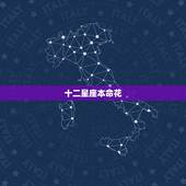 十二星座本命花，十二星座生辰花
