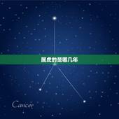 属虎的是哪几年，属虎的年份有哪几年