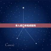 羊入虎口羊和虎配吗，男属羊女属虎结婚好吗