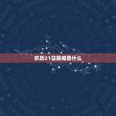 农历21日属相是什么，农历1990年1月21日 属什么生肖 什么星座