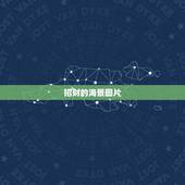 招财的海景图片，淘宝双11的店铺海景房图片 是什么意思 什么样子的图片