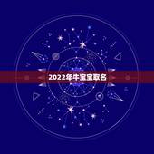 2022年牛宝宝取名，虎宝宝取名大全2022款