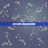 金牛座男b型血最佳婚配，男鼠 金牛座 b型血 婚配女狗 摩羯座 b型血