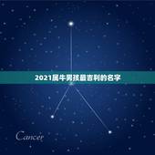 2021属牛男孩最吉利的名字，属牛男孩最吉利的名字