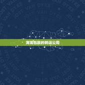 海淘包税的转运公司，海淘转运公司哪些包税，是不是说万一被收关税也是转运