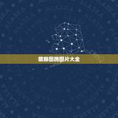 貔貅图腾图片大全，貔貅是什么样子？ 发图