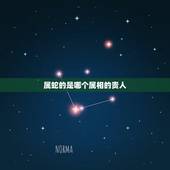 属蛇的是哪个属相的贵人，属羊的和什么属相最配