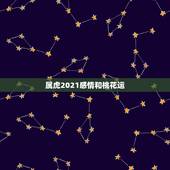 属虎2021感情和桃花运，属虎人2021年运势及运程每月运程