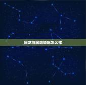 属龙与属鸡婚配怎么样，属鸡和属蛇的婚姻怎么样