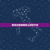 男虎女蛇婚姻怎么样好不好，属蛇和属虎的人婚姻怎么样