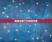 属兔往哪个方向找对象，属兔的女1999年生适合找哪个方向的对象？