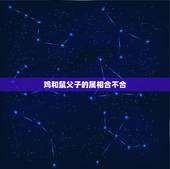 鸡和鼠父子的属相合不合，鸡和老鼠八字合不合