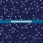 属龙和属鼠的婚姻相配吗，属龙的今年多大