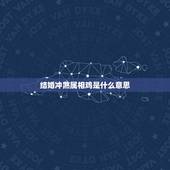 结婚冲煞属相鸡是什么意思，黄道吉日中冲鸡是什么意思