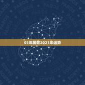 01年属蛇2021年运势，属蛇2021年运势及运程详解