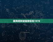 属狗招财进宝微信名1970，70年属狗用什么做微信头像好
