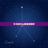 牛马和什么属相结婚好，你们相信属相相配吗？我和我女朋友一个牛一个马，阴