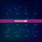 85牛2022运势，85年的牛2021年的运势