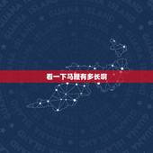 看一下马鞭有多长啊，马鞭长什么样子