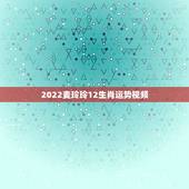 2022麦玲玲12生肖运势视频，2022 年犯太岁的生肖