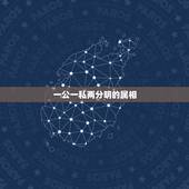 一公一私两分明的属相，一公一私两分明，是什么生肖，大家帮帮我咯，