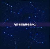 与鼠相配的属相是什么，老鼠跟什么生肖合得来