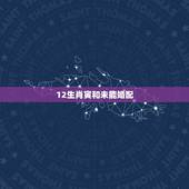 12生肖寅和未能婚配，十二生肖中：子丑寅卯辰巳午未申酉戌亥各代表什么动