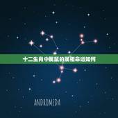 十二生肖中属鼠的属相命运如何，十二属相里面，属相为鼠的人的命运好不好呢