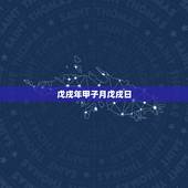戊戌年甲子月戊戌日，年戊不合癸还好什么意思