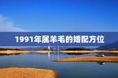 1991年属羊毛的婚配方位，1991年属羊的最佳配偶