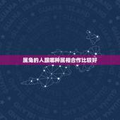 属兔的人跟哪种属相合作比较好，属兔的和什么属相结合比较合适？