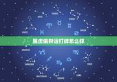 属虎偏财运打牌怎么样，属虎人今天有偏财运吗？