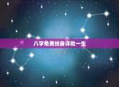 八字免费终身详批一生，求大师详批八字