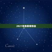 2021年各属相吉凶，2021年躲星生肖对照表