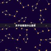 天干合婚是什么意思，八字合婚中天干地支皆会合什么意思？来个人讲解下！
