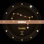 双子男很依赖狮子女吗(介绍星座配对的)