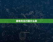 庚申月五行属什么命，庚申是什么时辰