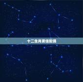 十二生肖更佳配偶，2022 十二生肖更佳婚配表