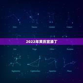 2022年黄历宜添丁