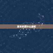 属羊的跟什么最配，属马的中午出生的命运