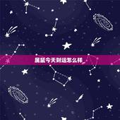 属鼠今天财运怎么样_，属狗的运势怎么样