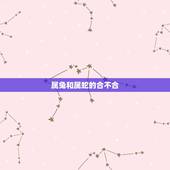 属兔和属蛇的合不合，2017年属蛇和属兔关系怎样，上司属兔。合不合