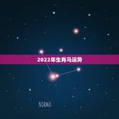 2022年生肖马运势 属马人2022年爱情运势详解