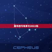 属牛的今年多大2022年，属牛今年多大岁数2022