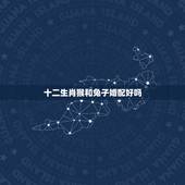 十二生肖猴和兔子婚配好吗，兔子和老鼠属相不合？