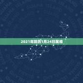 2021年阳历1月24日属相，2021年3月1日减2021年1月24日