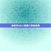 起名字2021免费八字起名男，免费起名字女孩2021免费八字起名？