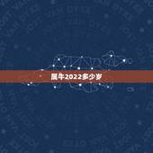 属牛2022多少岁，1973年属牛人的婚外情