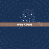 领导都有小三吗，如果现在的男人出轨大部分会找什么样的小三？有身份领导跟