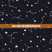 2022属牛男孩最吉利的名字，2022年属虎男孩取名字